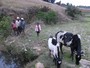 agrandir la photo 