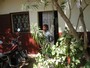 agrandir la photo 