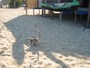 agrandir la photo 