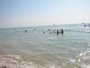 agrandir la photo 