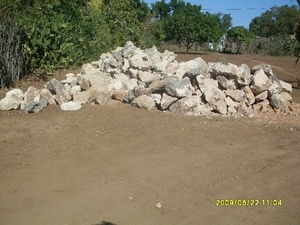 agrandir la photo 