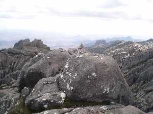 agrandir la photo 