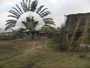 agrandir la photo 