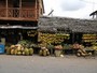 agrandir la photo 