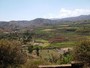 agrandir la photo 