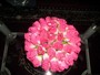 agrandir la photo 