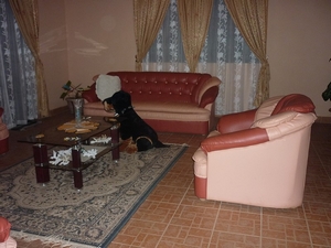 agrandir la photo 