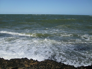 agrandir la photo 