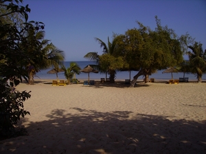 agrandir la photo 