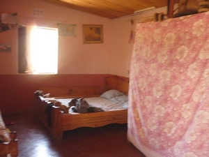 agrandir la photo 