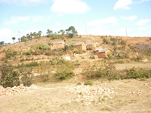 agrandir la photo 