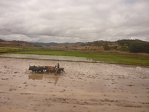 agrandir la photo 