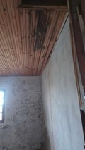 agrandir la photo 